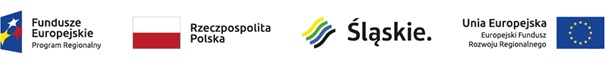 Logotypy: Program regionalny UE. Śląskie - Pozytywna energia. Unia Europejska - Europejski Fundusz Rozwoju Regionalnego.
